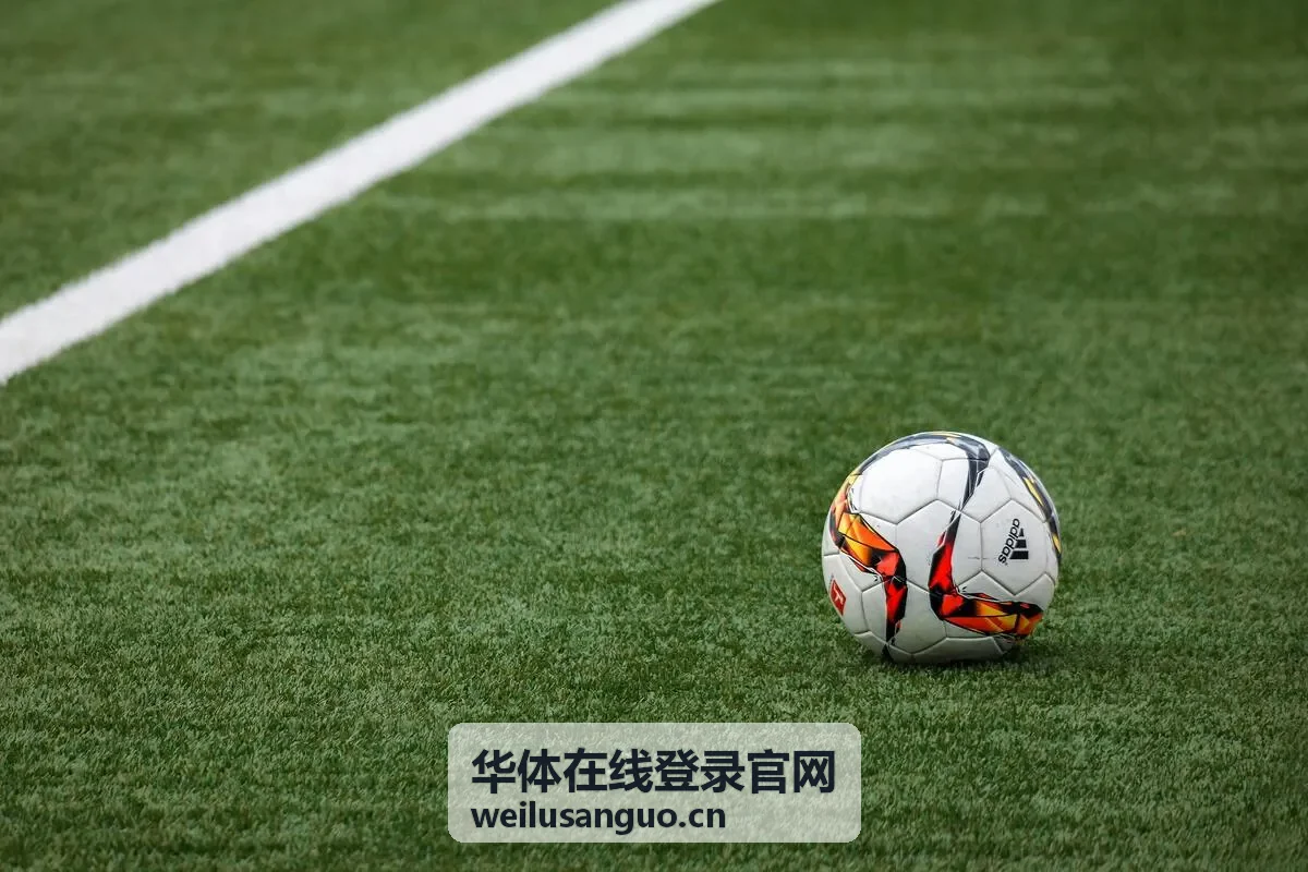 华体在线登录官网数据洞察分类页面配图